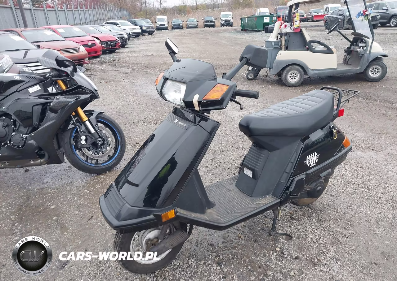 2002 Honda Ch80 VIN:3H1HF03042D700774 - 2