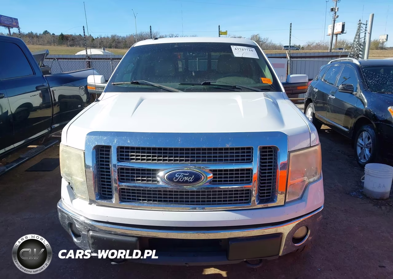 2010 Ford F-150 Fx4-Harley-Davidson-King Ranch-Lariat-Platinum-Xl-Xlt VIN:1FTFW1EVXAKB46463 - 12
