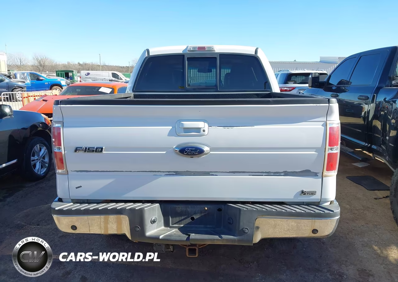 2010 Ford F-150 Fx4-Harley-Davidson-King Ranch-Lariat-Platinum-Xl-Xlt VIN:1FTFW1EVXAKB46463 - 16