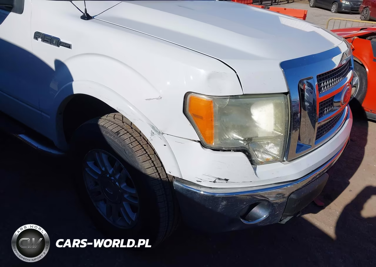 2010 Ford F-150 Fx4-Harley-Davidson-King Ranch-Lariat-Platinum-Xl-Xlt VIN:1FTFW1EVXAKB46463 - 6