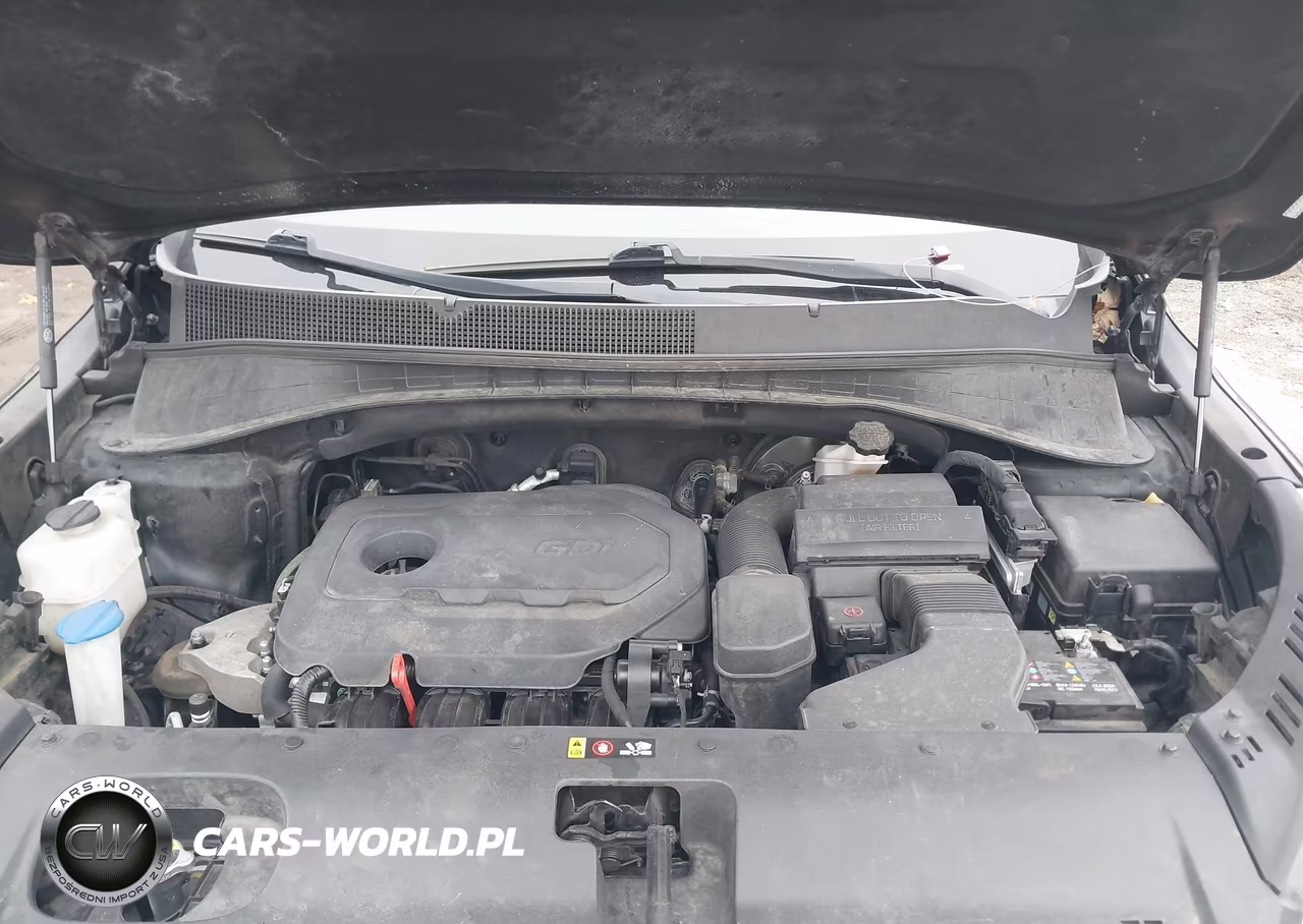 2020 Kia Sorento 2.4L L VIN:5XYPG4A37LG644054 - 10