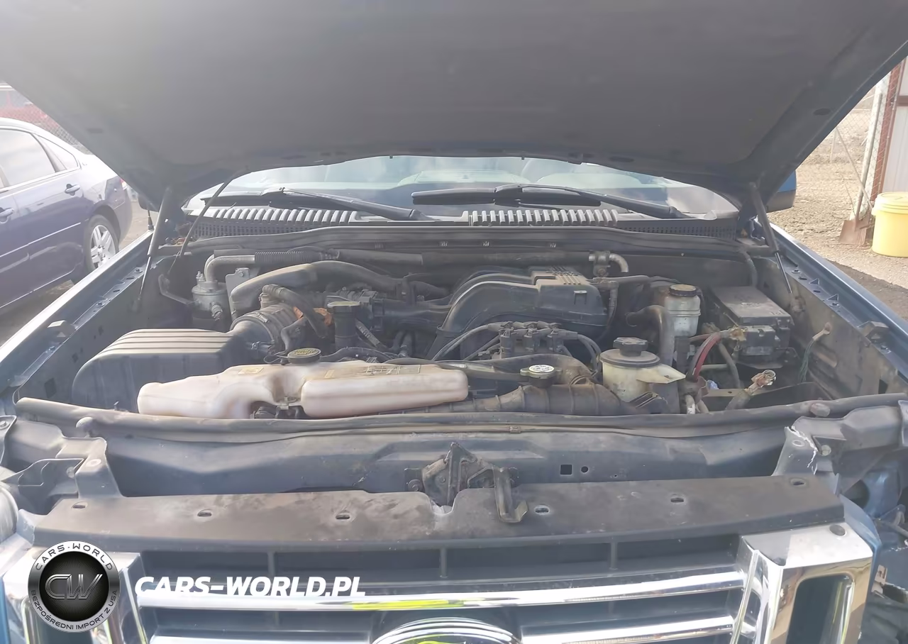2009 Ford Explorer Eddie Bauer VIN:1FMEU64E39UA31537 - 10