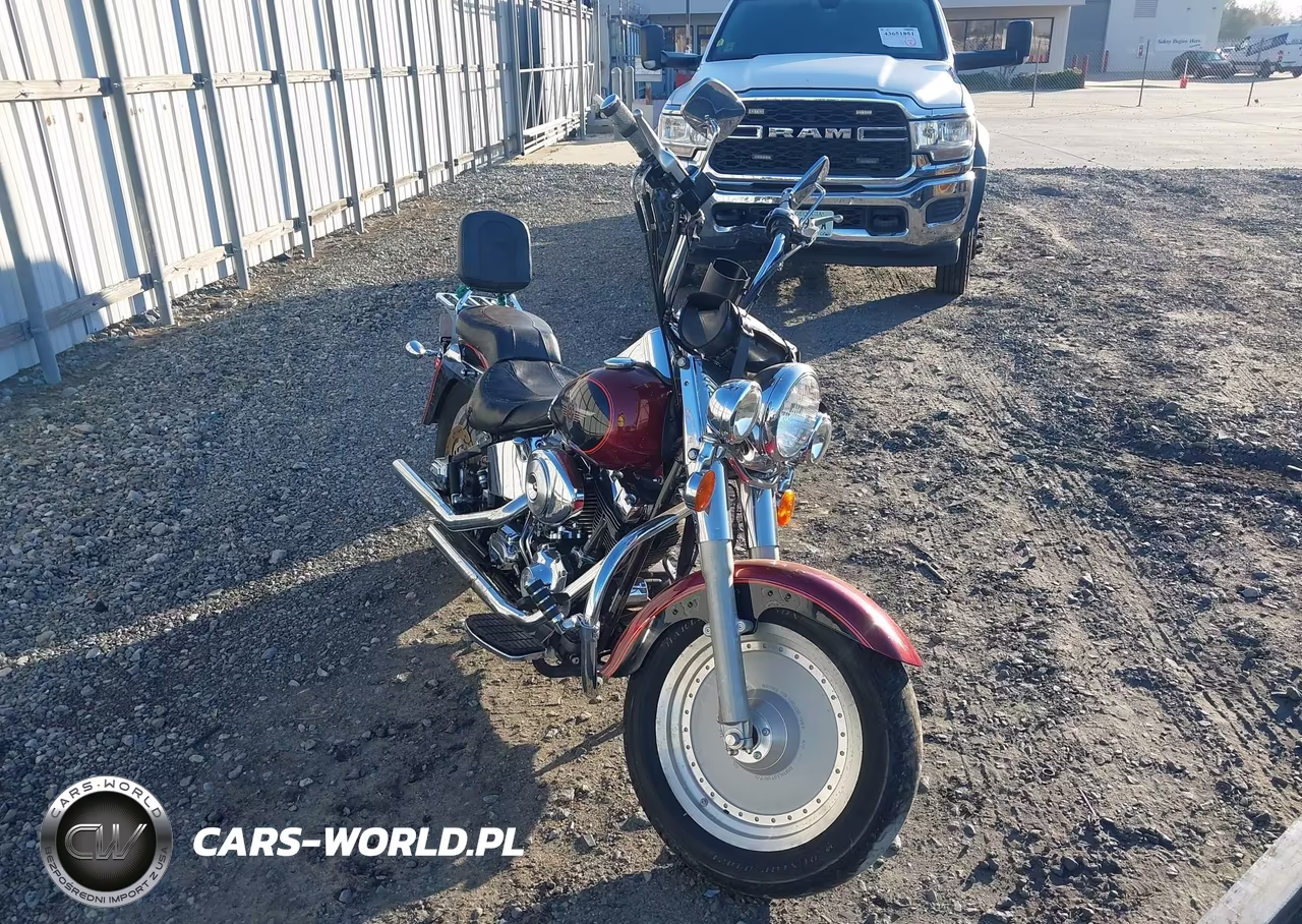 2002 Harley-Davidson Flstfi