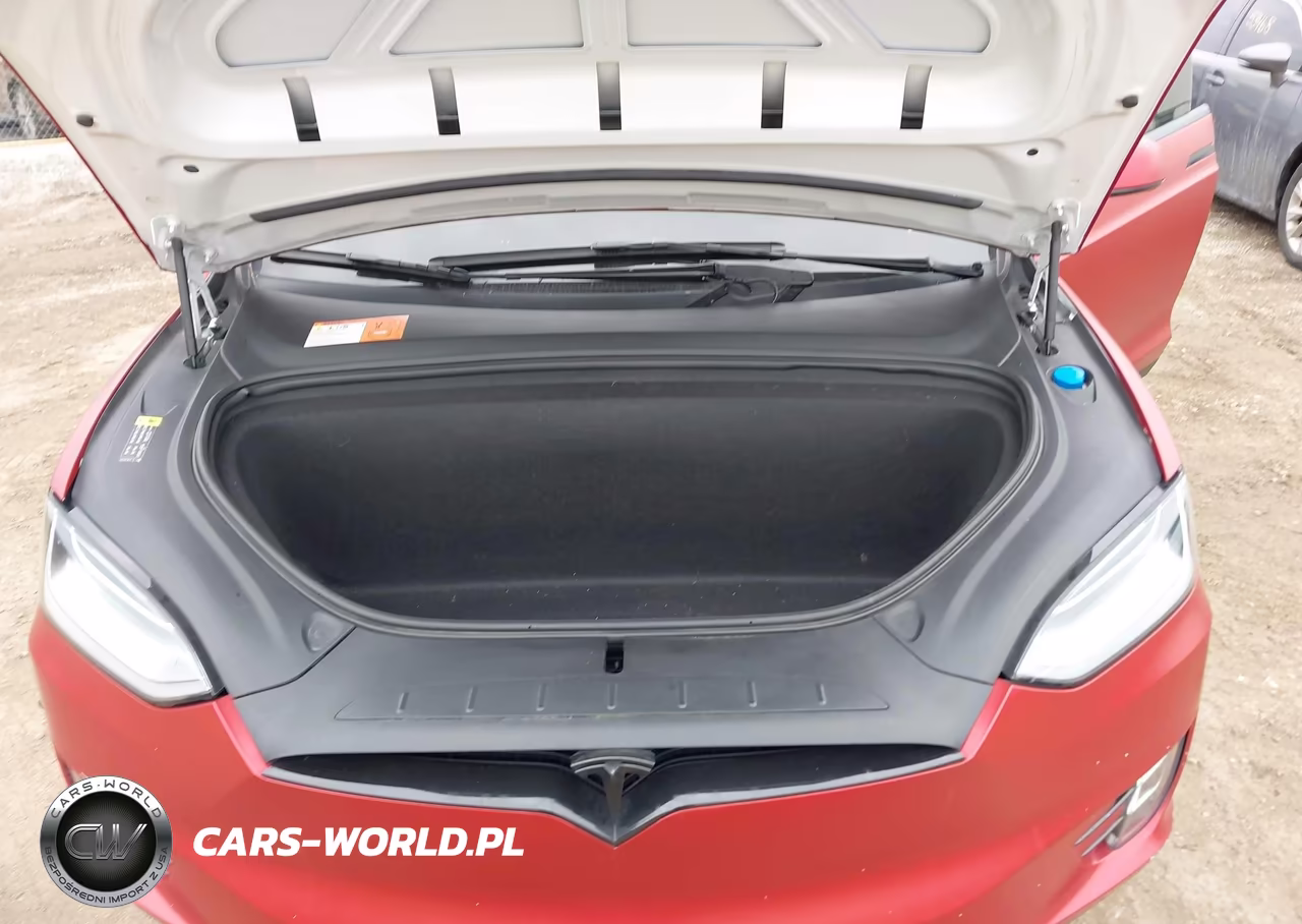 2017 Tesla Model X 100D-75D-90D VIN:5YJXCBE22HF047278 - 10