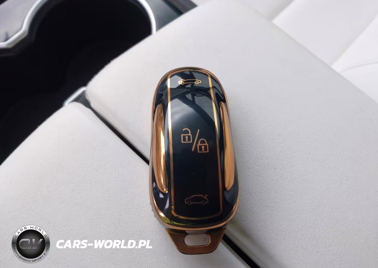 2017 Tesla Model X 100D-75D-90D VIN:5YJXCBE22HF047278 - 11
