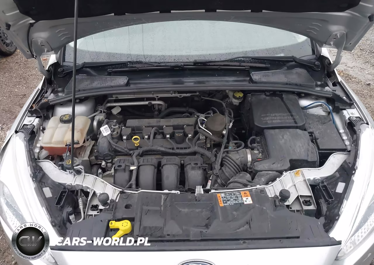 2015 Ford Focus Se VIN:1FADP3F20FL356002 - 10