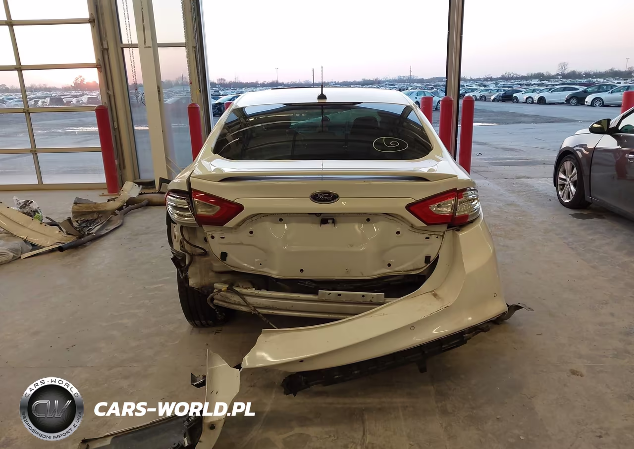 2014 Ford Fusion Titanium VIN:3FA6P0D97ER219565 - 17
