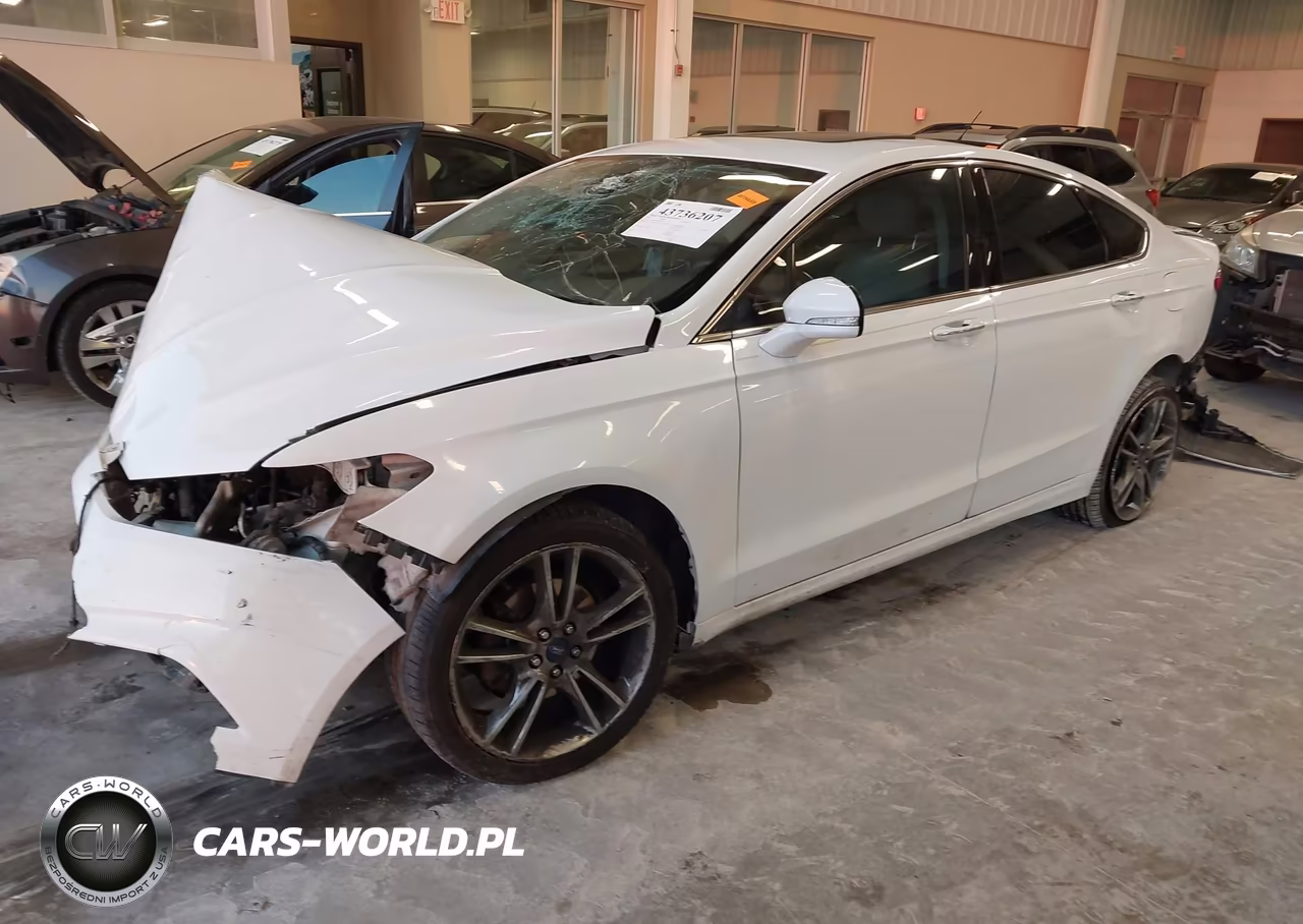2014 Ford Fusion Titanium VIN:3FA6P0D97ER219565 - 2