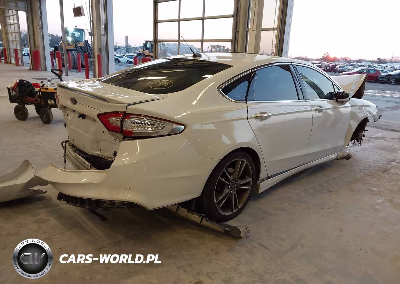 2014 Ford Fusion Titanium VIN:3FA6P0D97ER219565 - 4