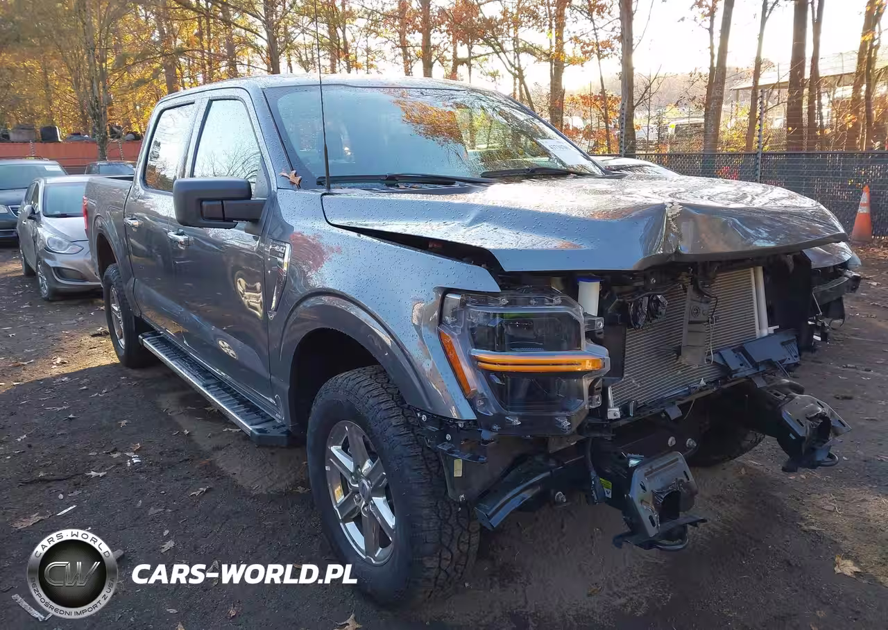 2025 Ford F-150 Xlt