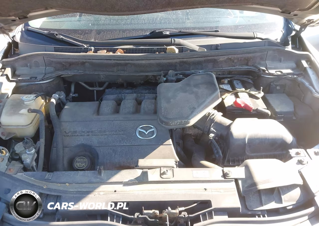 2010 Mazda Cx-9 Touring VIN:JM3TB3MV6A0236966 - 10
