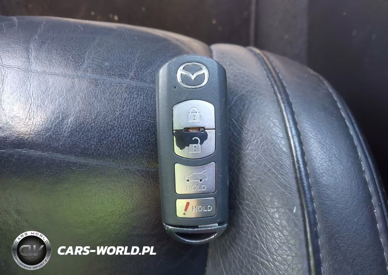 2010 Mazda Cx-9 Touring VIN:JM3TB3MV6A0236966 - 11