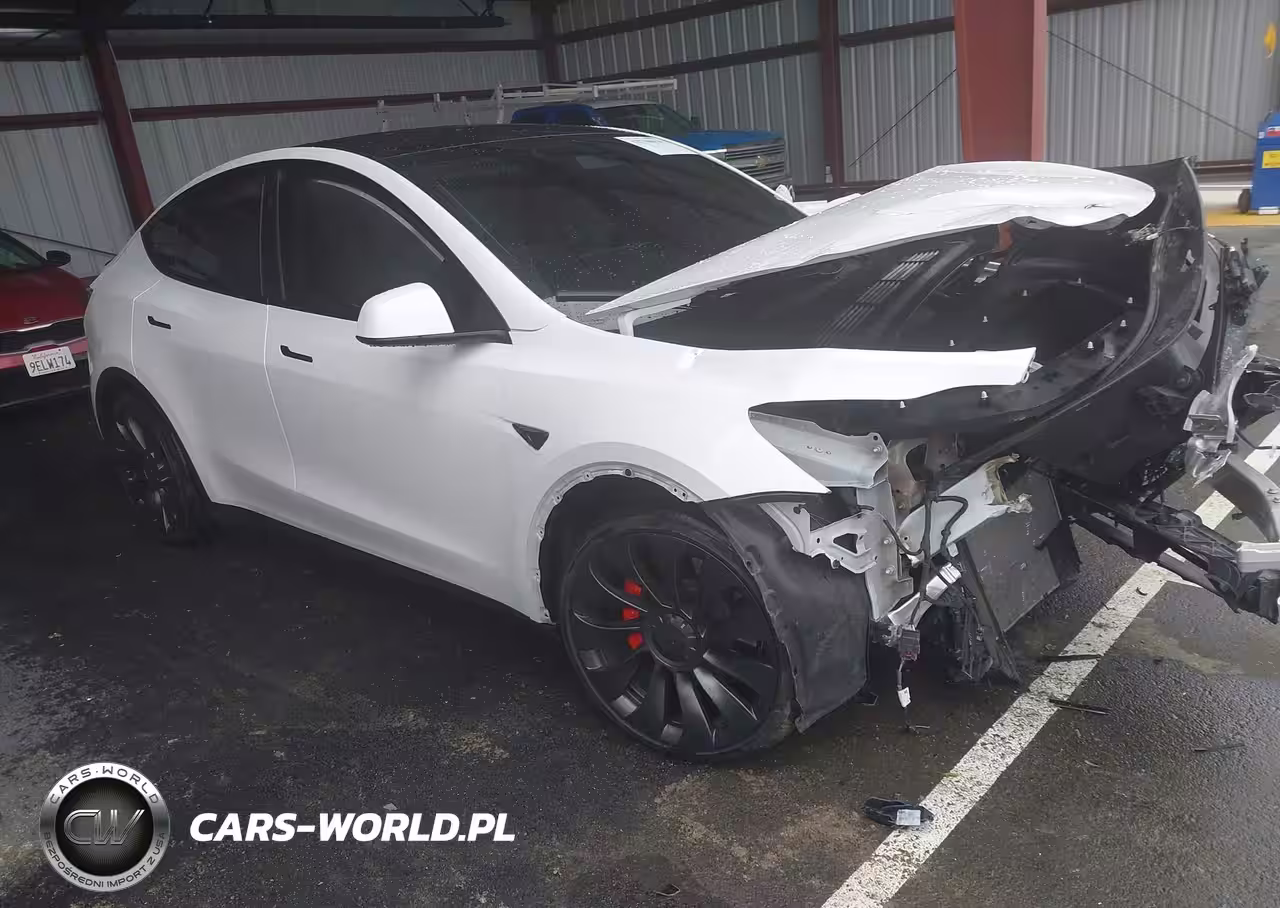 2024 Tesla Model Y Performance Dual Motor All-Wheel Drive