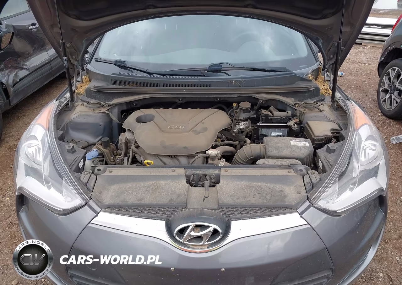 2016 Hyundai Veloster VIN:KMHTC6AD2GU270399 - 10