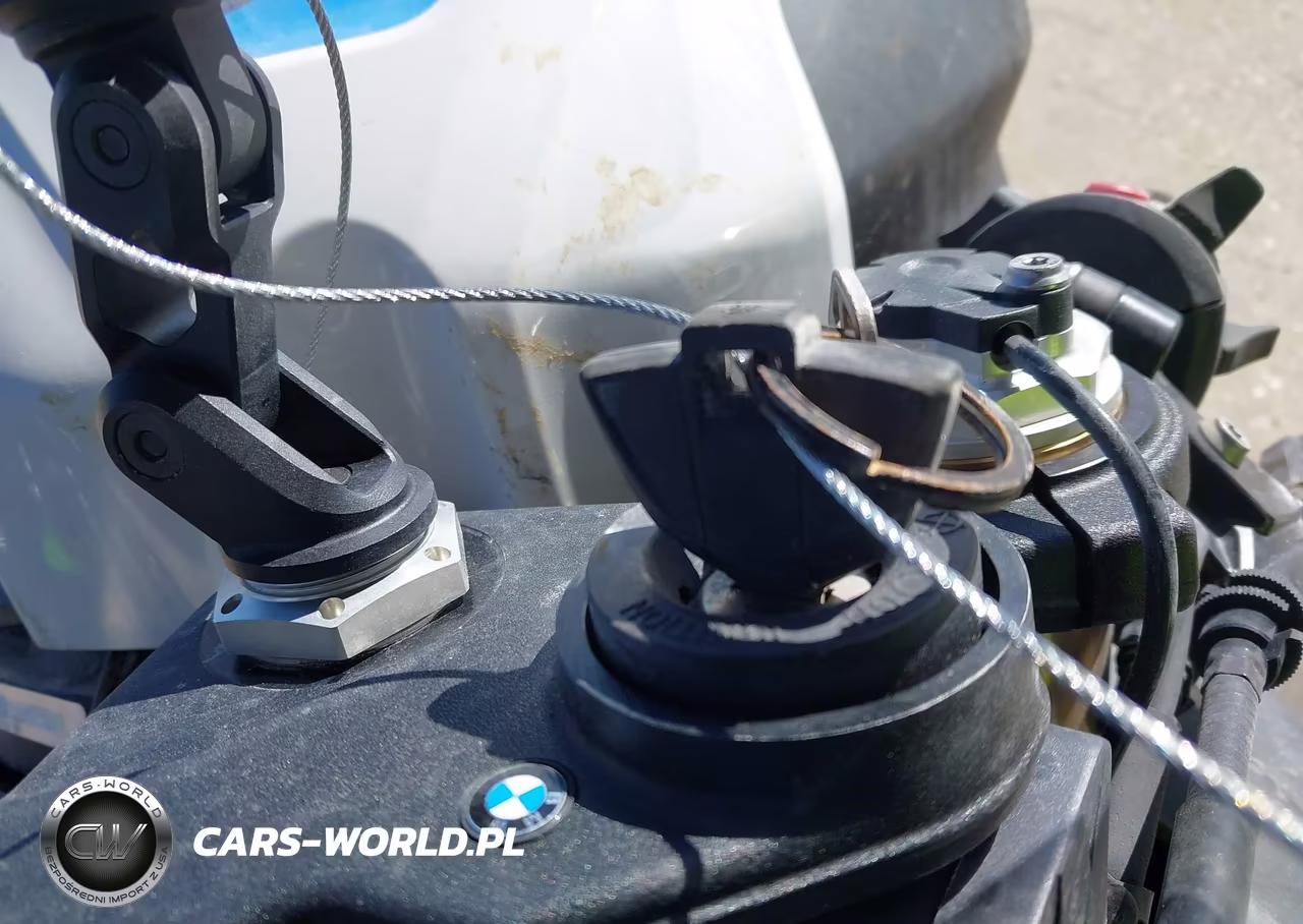 2025 BMW S 1000 Rr VIN:WB10P2308S6L91866 - 11