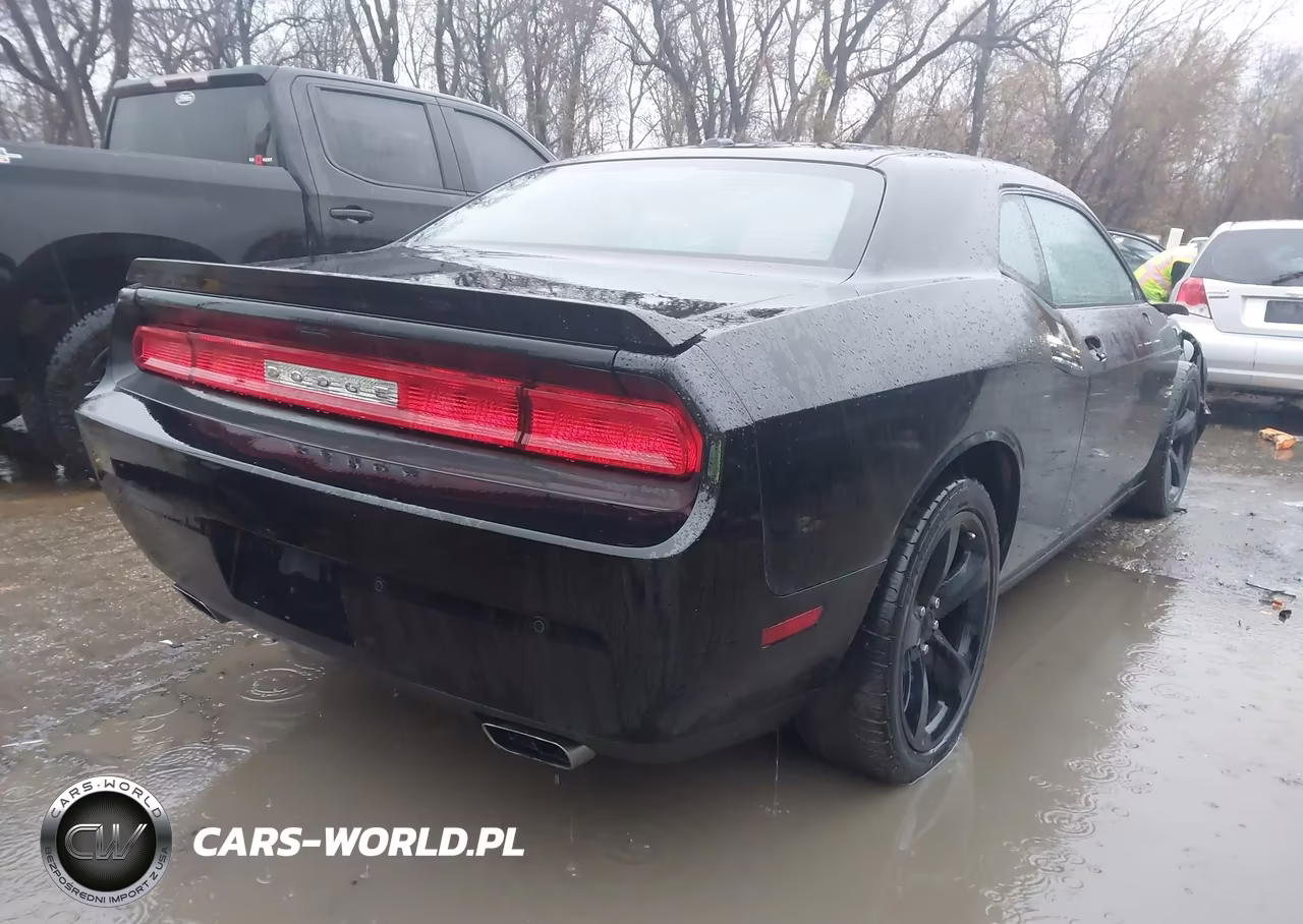 2014 Dodge Challenger Sxt Plus VIN:2C3CDYAG0EH115314 - 4