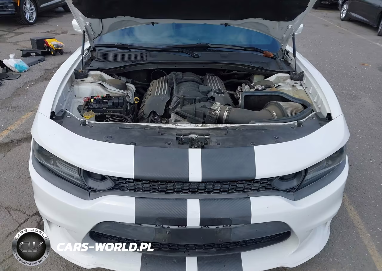 2020 Dodge Charger Scat Pack Rwd VIN:2C3CDXGJ0LH136349 - 10
