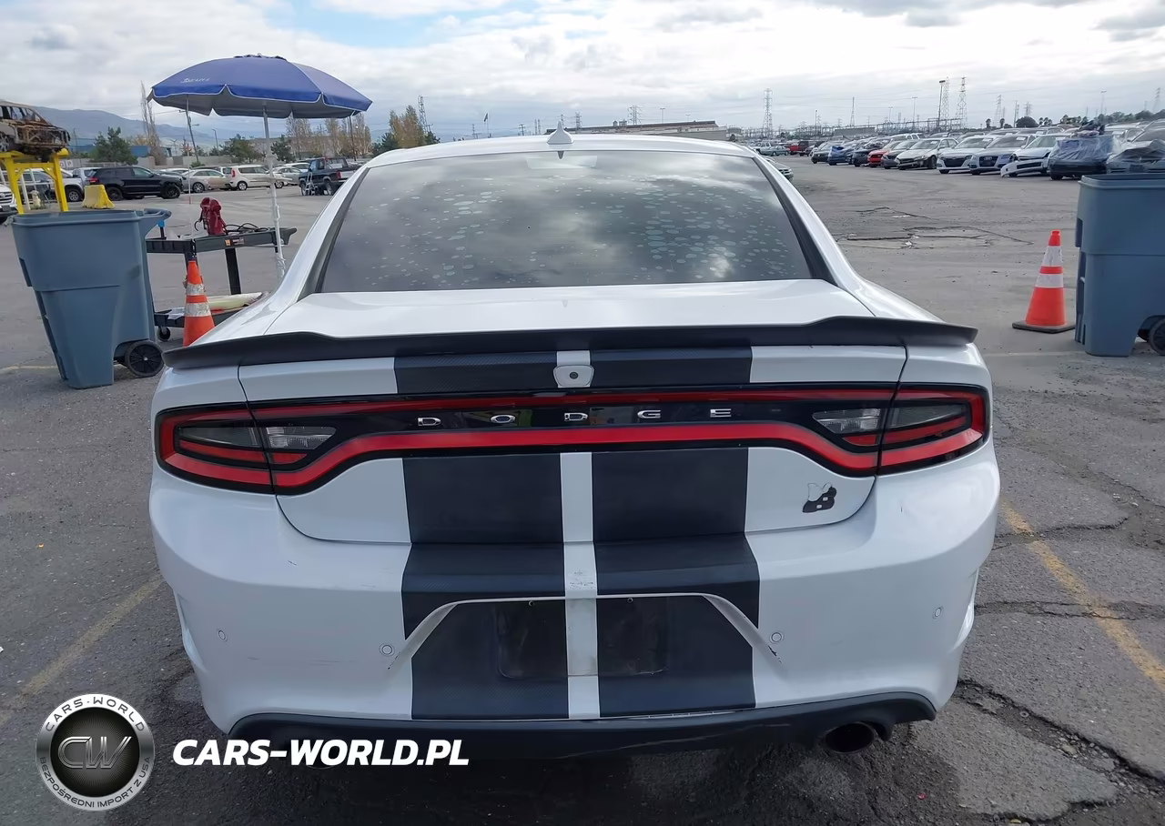 2020 Dodge Charger Scat Pack Rwd VIN:2C3CDXGJ0LH136349 - 17
