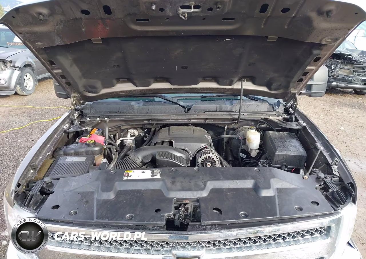 2013 Chevrolet Silverado 1500 Lt VIN:1GCRKSE74DZ167496 - 10
