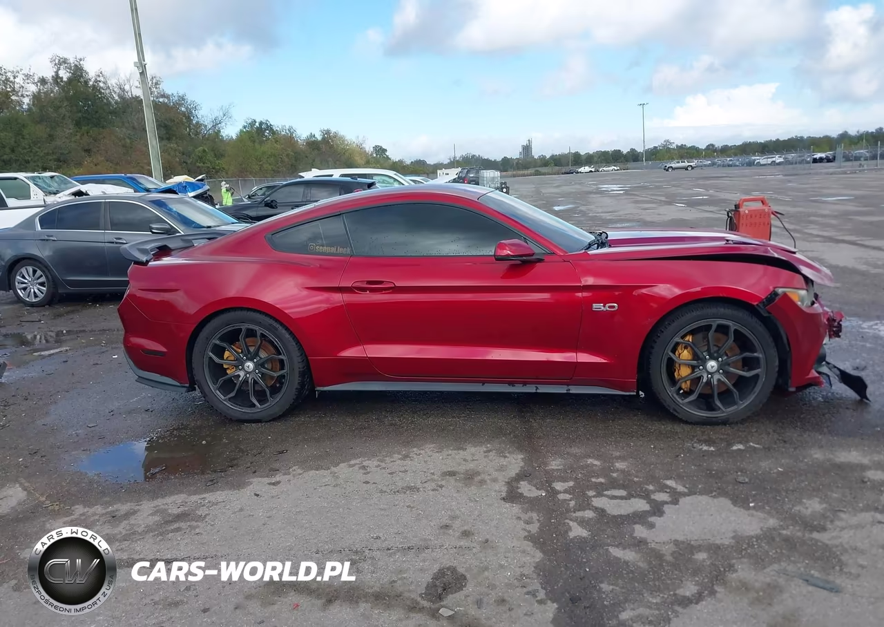 2016 Ford Mustang Gt Premium VIN:1FA6P8CFXG5251163 - 13