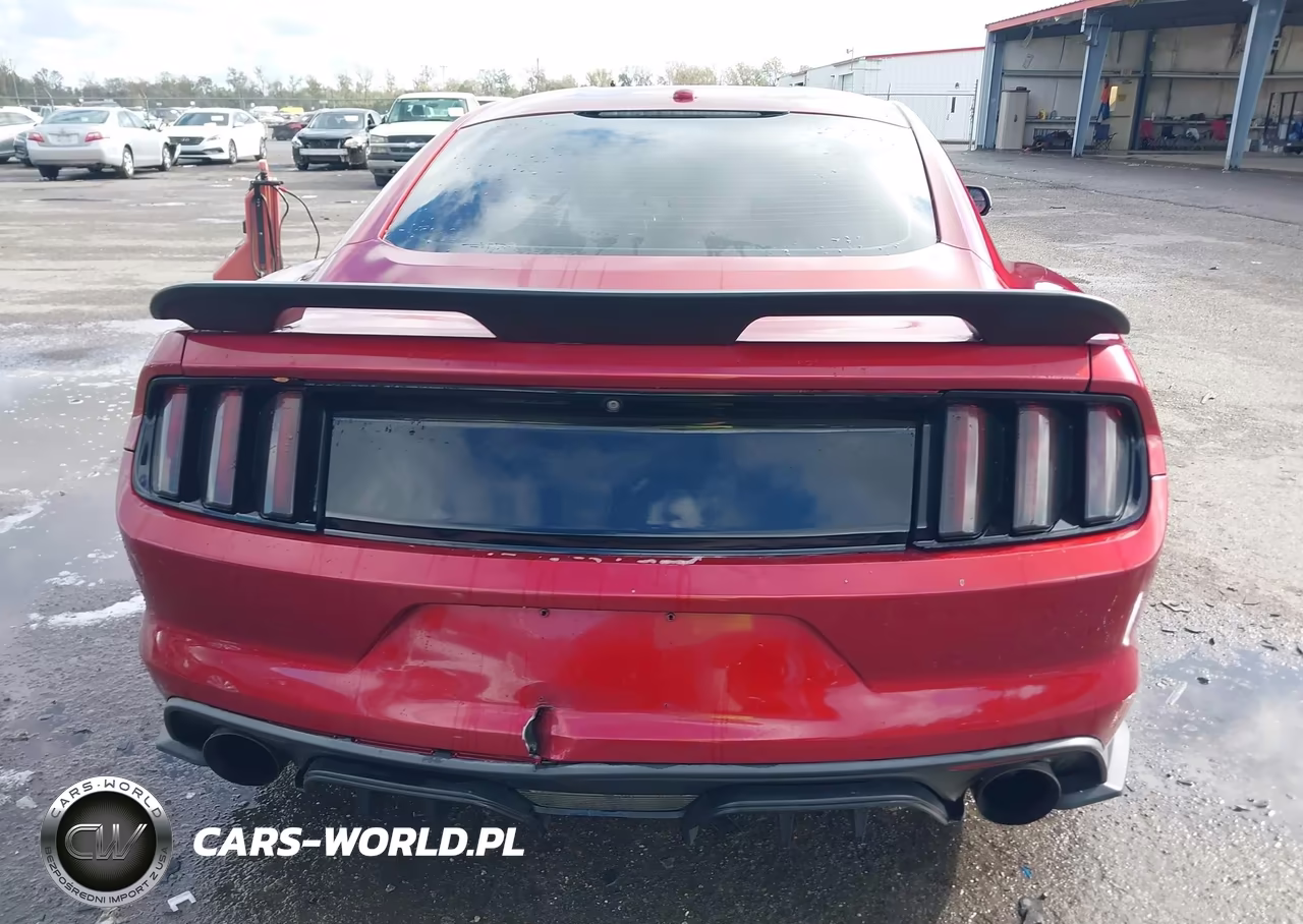 2016 Ford Mustang Gt Premium VIN:1FA6P8CFXG5251163 - 16