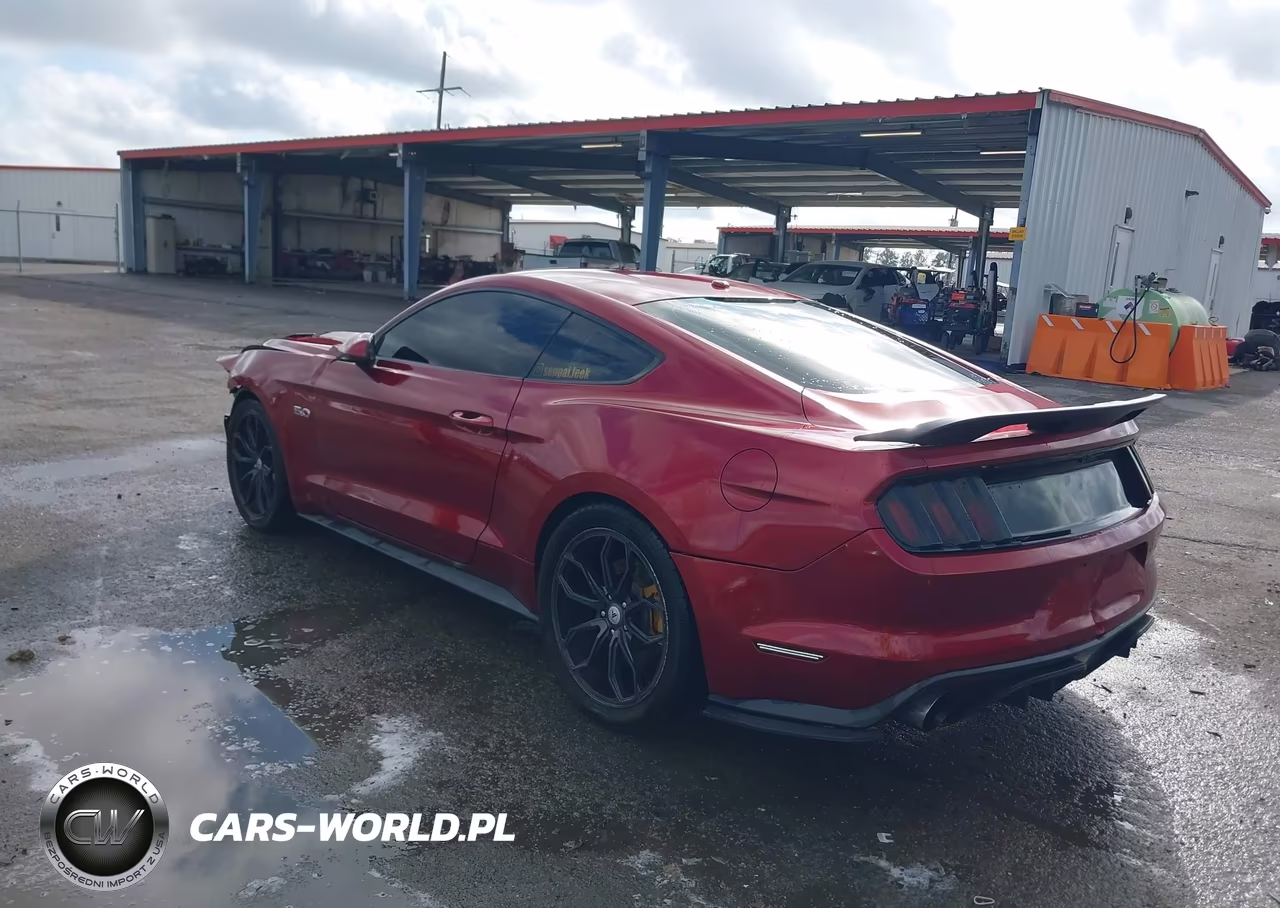 2016 Ford Mustang Gt Premium VIN:1FA6P8CFXG5251163 - 3