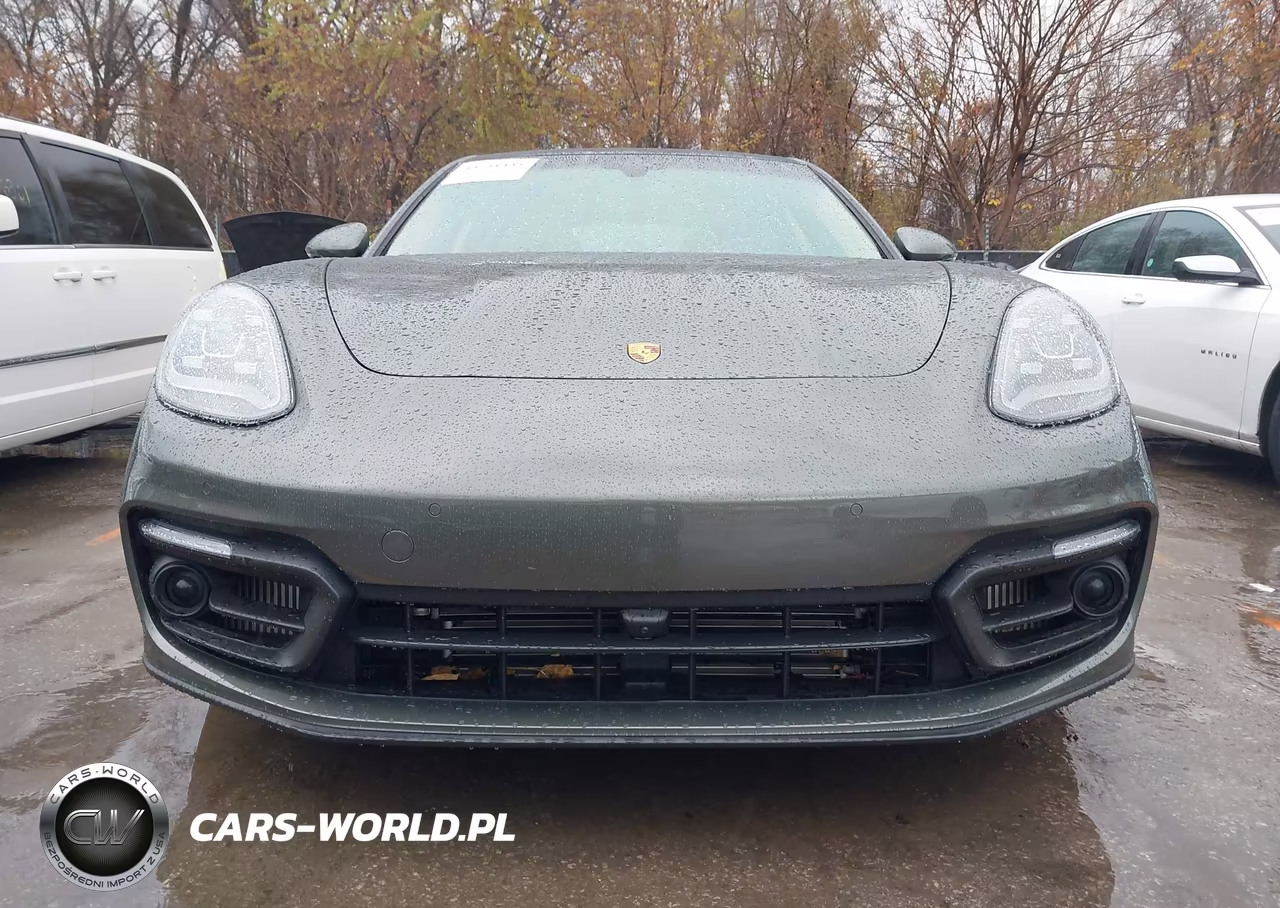 2023 Porsche Panamera 4-4 Platinum Edition-Platinum Edition VIN:WP0AJ2A74PL102483 - 12