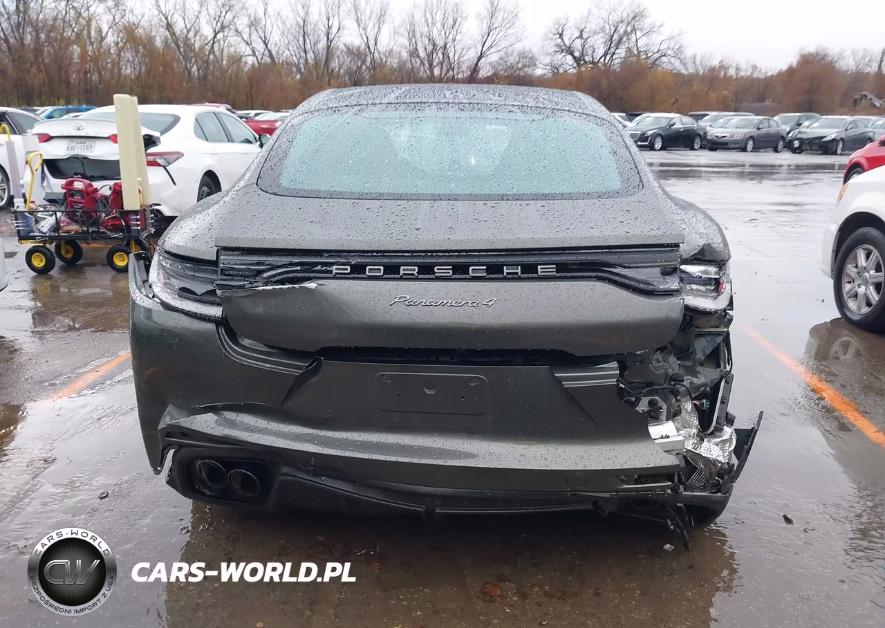 2023 Porsche Panamera 4-4 Platinum Edition-Platinum Edition VIN:WP0AJ2A74PL102483 - 16
