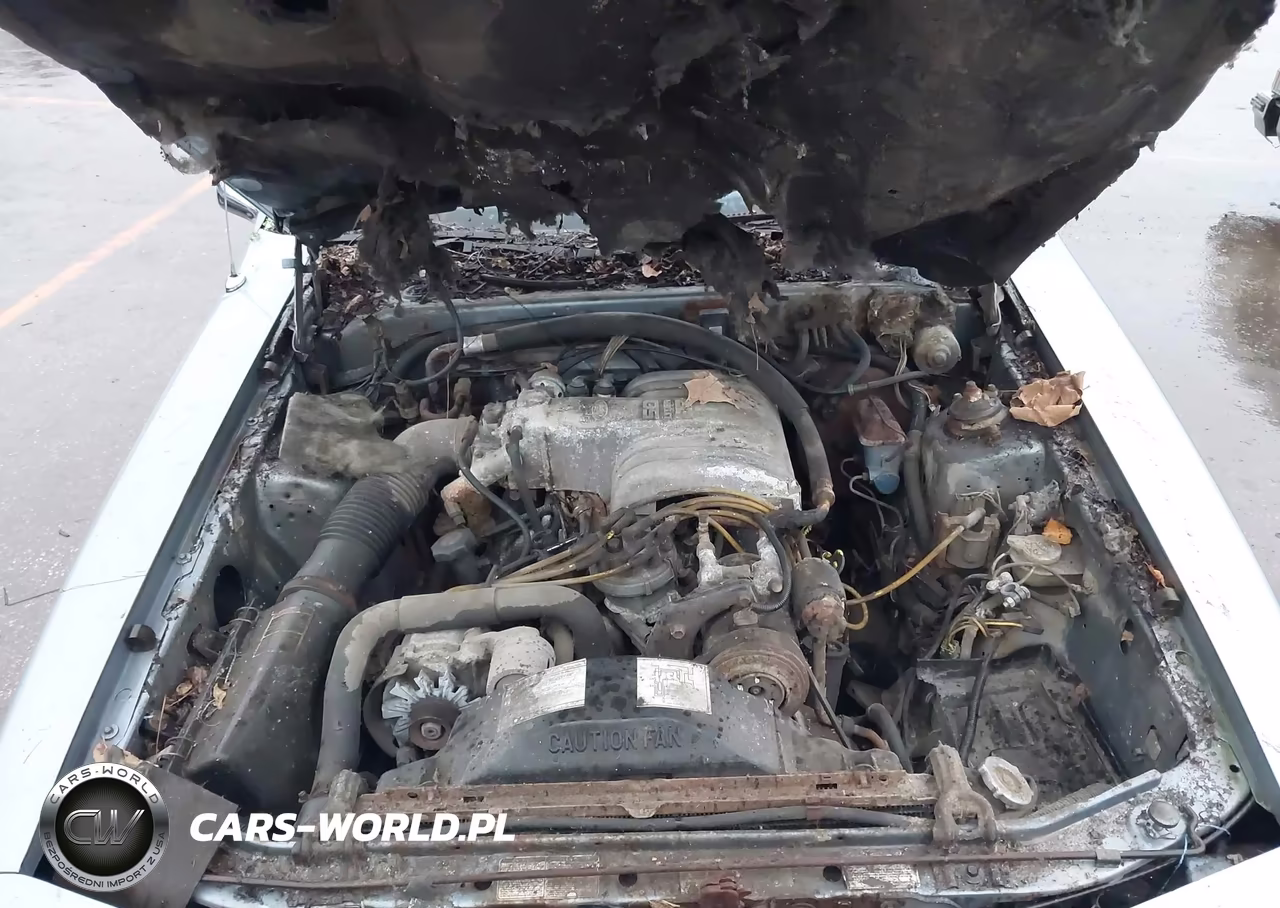 1986 Mercury Cougar VIN:1MEBP92F9GH706436 - 10