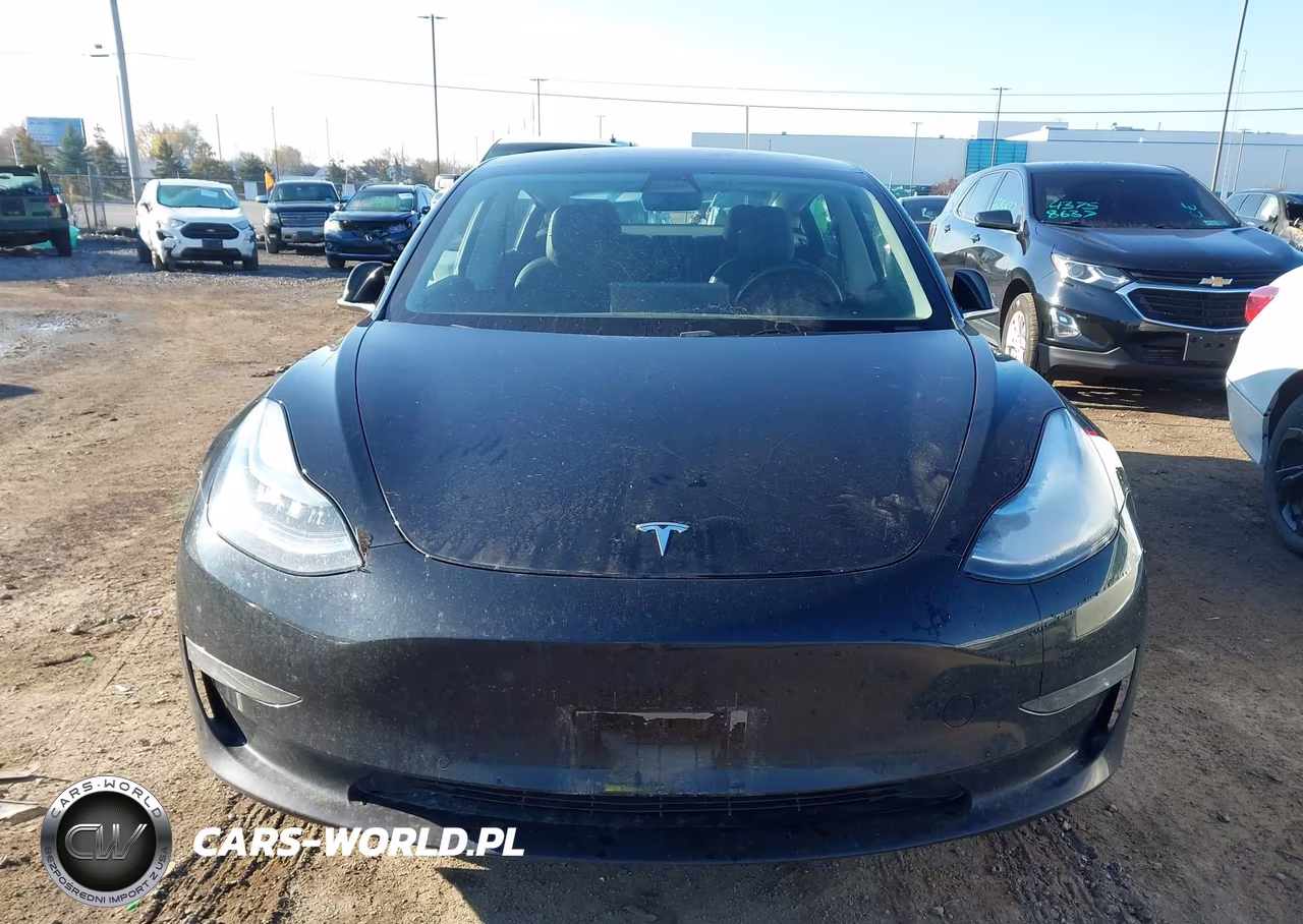2019 Tesla Model 3 Long Range-Mid Range-Standard Range-Standard Range Plus VIN:5YJ3E1EA9KF300520 - 12