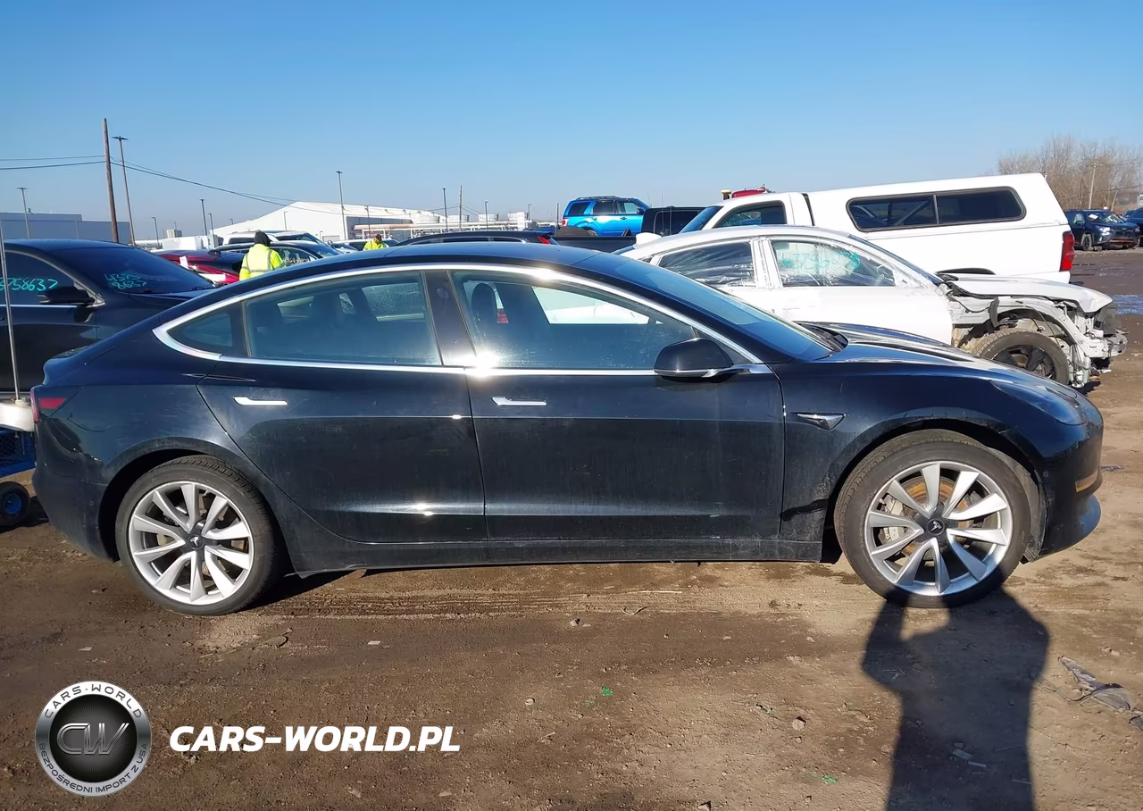 2019 Tesla Model 3 Long Range-Mid Range-Standard Range-Standard Range Plus VIN:5YJ3E1EA9KF300520 - 13