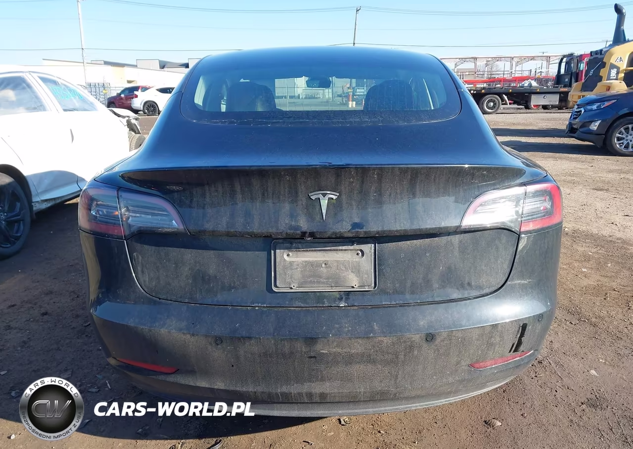 2019 Tesla Model 3 Long Range-Mid Range-Standard Range-Standard Range Plus VIN:5YJ3E1EA9KF300520 - 16