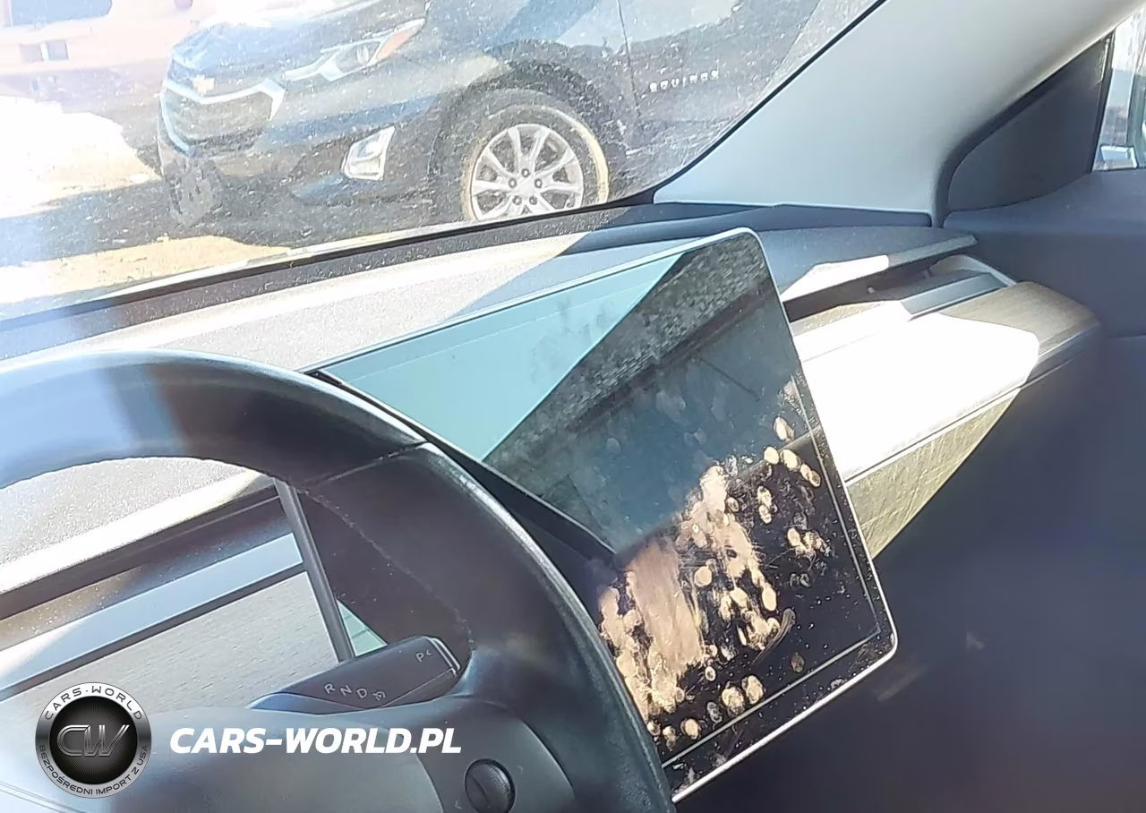 2019 Tesla Model 3 Long Range-Mid Range-Standard Range-Standard Range Plus VIN:5YJ3E1EA9KF300520 - 17
