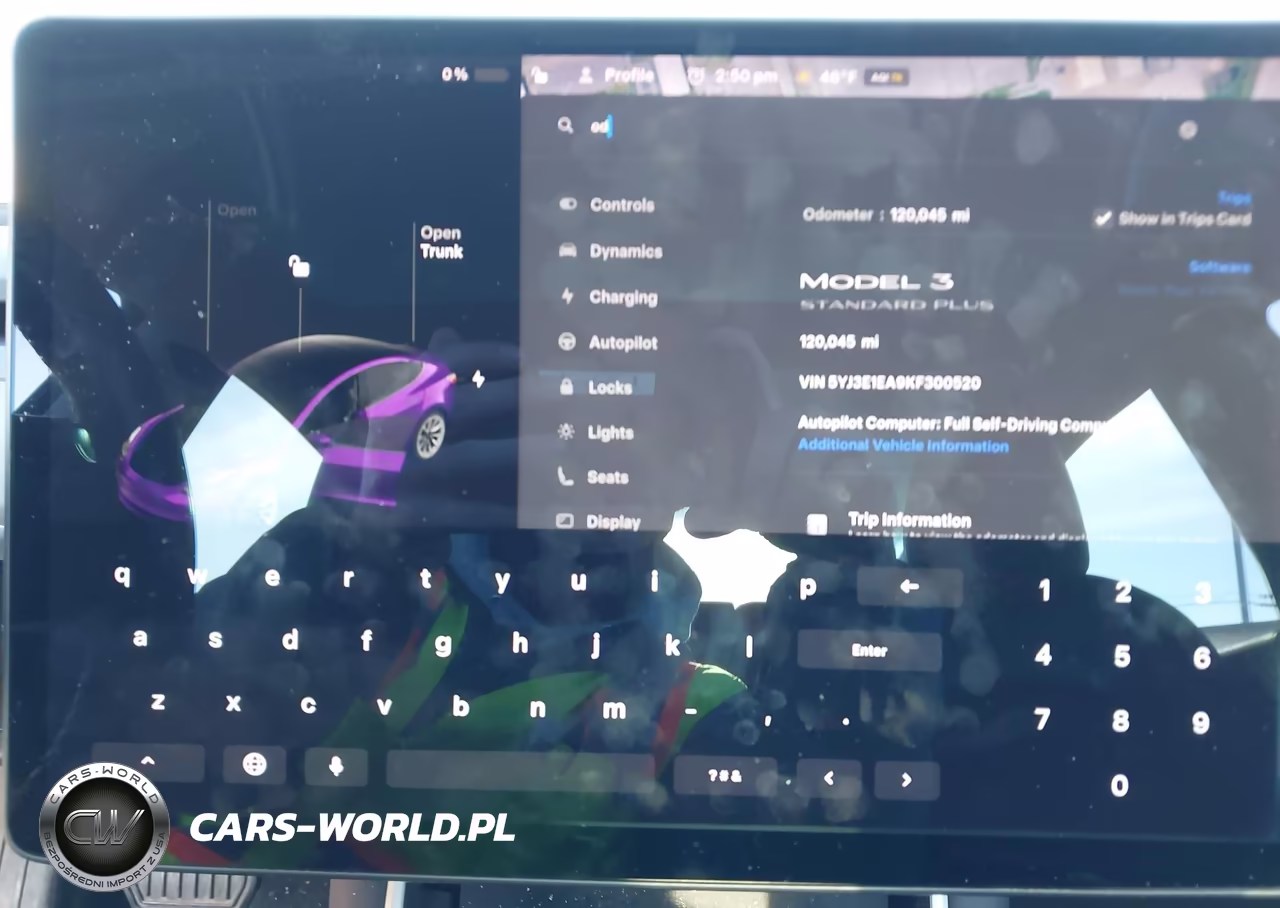2019 Tesla Model 3 Long Range-Mid Range-Standard Range-Standard Range Plus VIN:5YJ3E1EA9KF300520 - 18