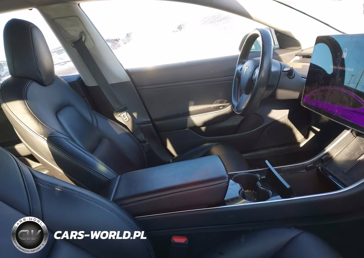 2019 Tesla Model 3 Long Range-Mid Range-Standard Range-Standard Range Plus VIN:5YJ3E1EA9KF300520 - 5