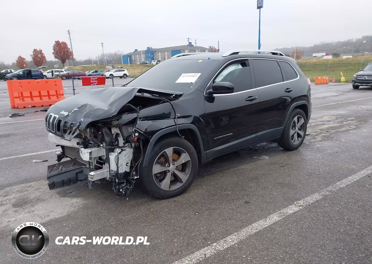 2019 Jeep Cherokee Limited 4X4 VIN:1C4PJMDX9KD303509 - 2