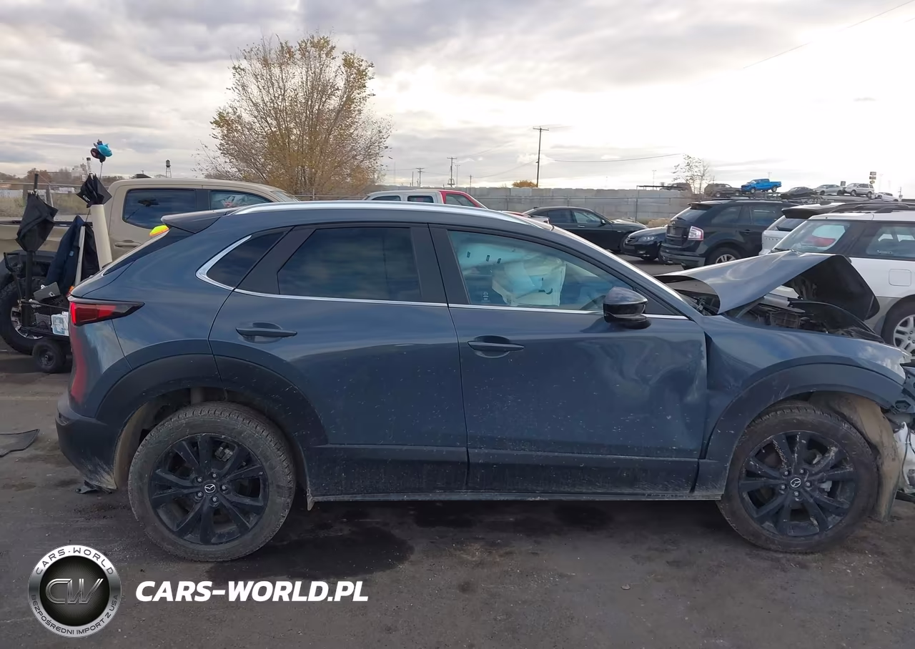 2023 Mazda Cx-30 2.5 S Carbon Edition VIN:3MVDMBCM9PM553672 - 13