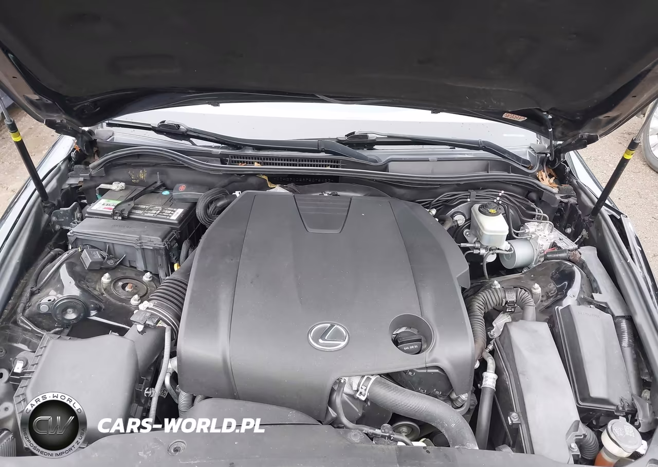 2015 Lexus Is 250 VIN:JTHBF1D28F5075483 - 10
