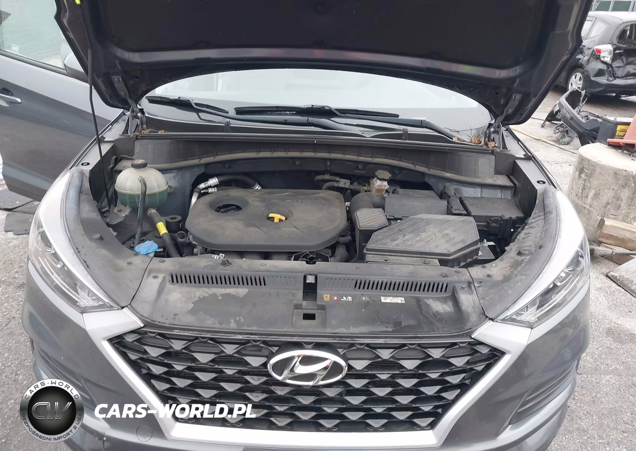 2019 Hyundai Tucson Se VIN:KM8J2CA40KU987109 - 10