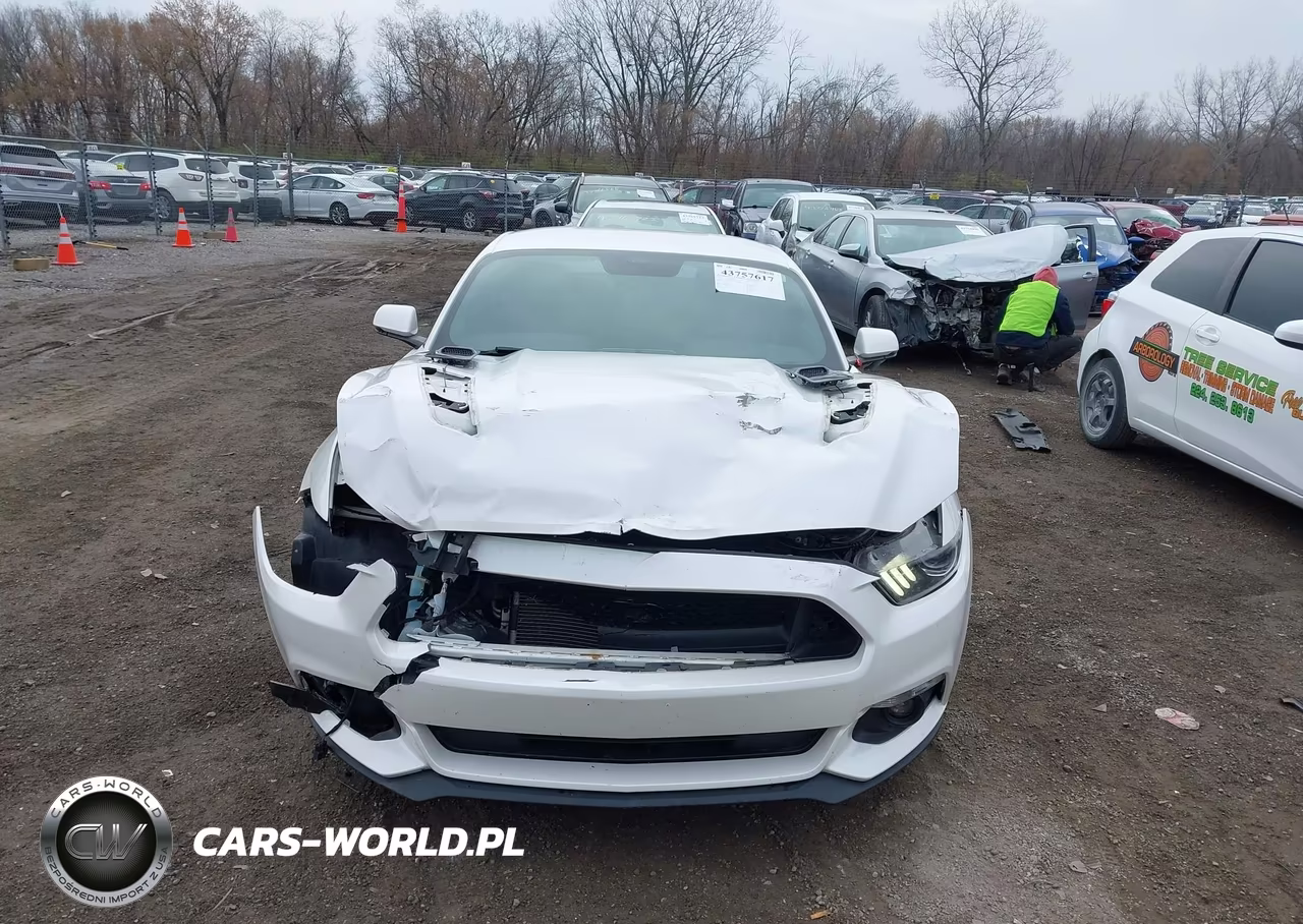 2017 Ford Mustang Gt Premium VIN:1FA6P8CF9H5230564 - 13
