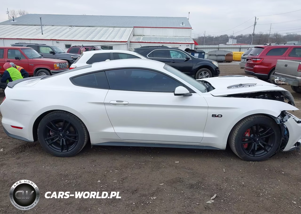 2017 Ford Mustang Gt Premium VIN:1FA6P8CF9H5230564 - 14