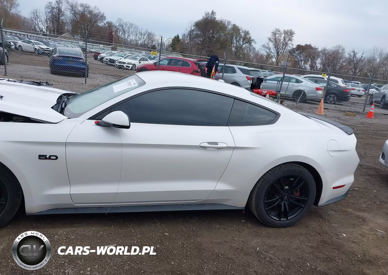 2017 Ford Mustang Gt Premium VIN:1FA6P8CF9H5230564 - 15