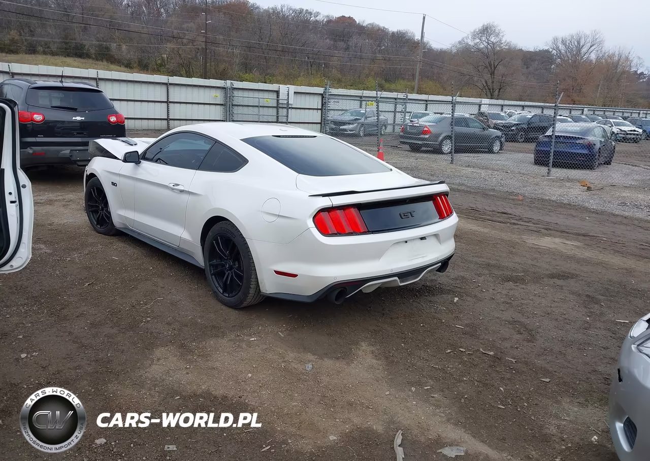 2017 Ford Mustang Gt Premium VIN:1FA6P8CF9H5230564 - 3