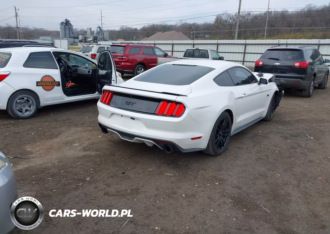 2017 Ford Mustang Gt Premium VIN:1FA6P8CF9H5230564 - 4