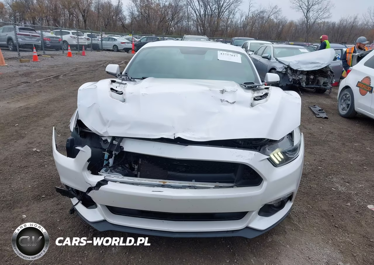 2017 Ford Mustang Gt Premium VIN:1FA6P8CF9H5230564 - 6