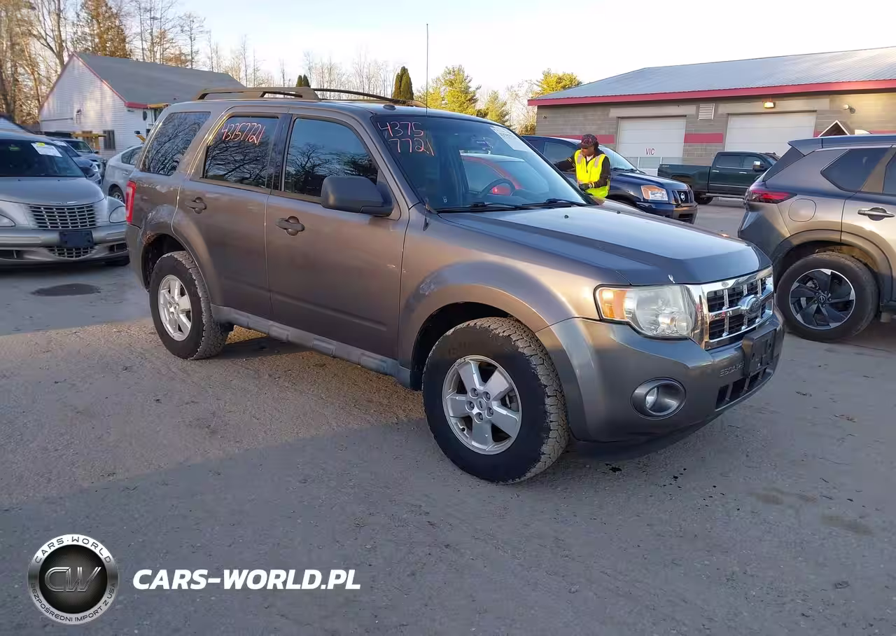 2010 Ford Escape Xlt