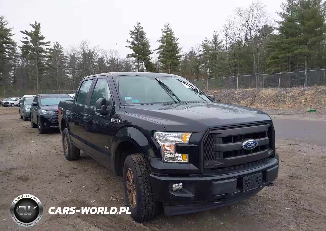 2017 Ford F-150 Xl
