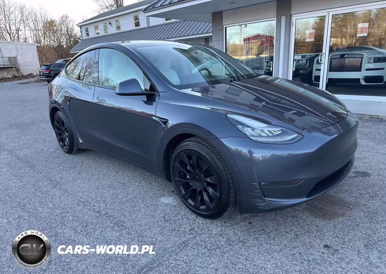 2021 Tesla Model Y