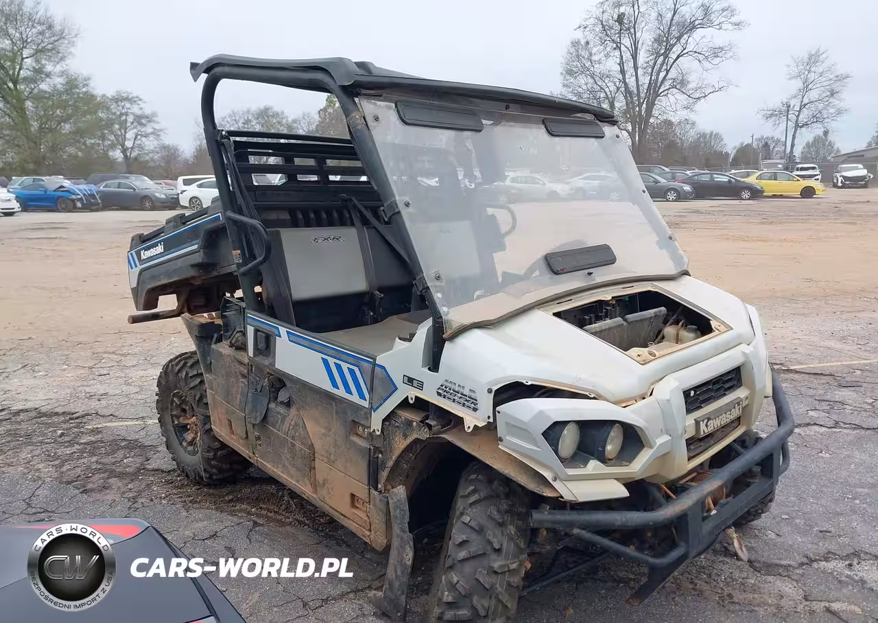 2024 Kawasaki Kaf1000 N