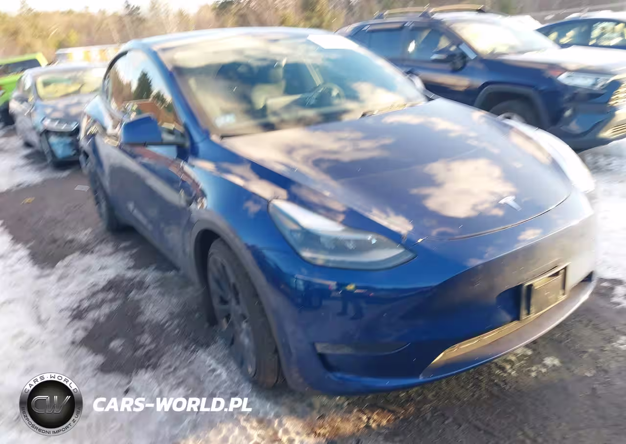 2024 Tesla Model Y Performance Dual Motor All-Wheel Drive